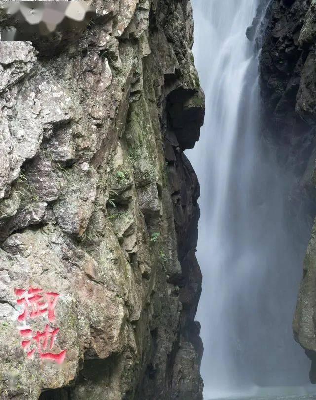 123澳门正版资料老玩家
